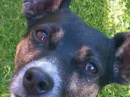 Rossmount Guest House