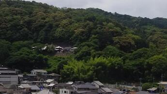 Guest House HANA – Hostel