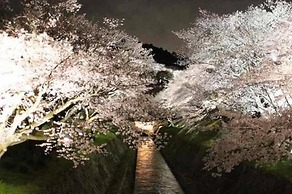 Guest House HANA – Hostel