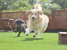 Izukogen Wanwan Paradise Condominium