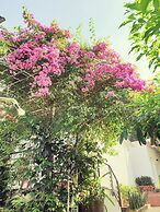 Hanh Ngoc Phu Quoc Resort