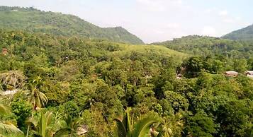 Green Tulip Hotel Kandy
