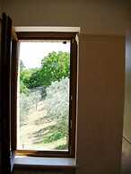 B&B La Collina del Sagrantino