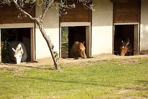 Agriturismo Ripaiani