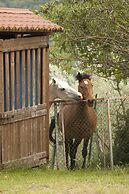 Agriturismo Ripaiani