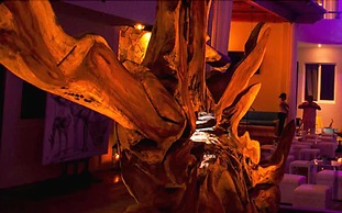 SHAVANNA Hotel Boutique