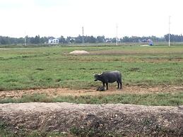 Vy Hoa Hoi An Villas