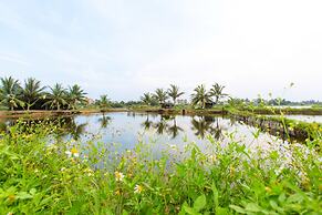 Vy Hoa Hoi An Villas