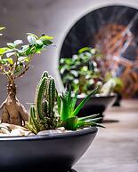 Selene Beach & Spa Hotel