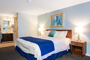 Stage Run By The Sea