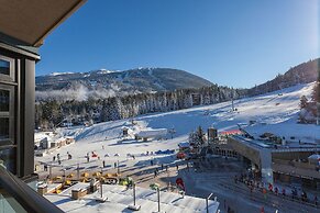 Gibbons Life Accommodations