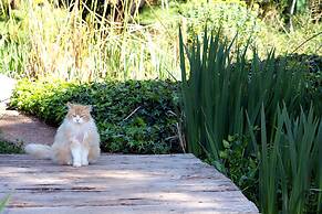 Petit Hotel Es Figueral