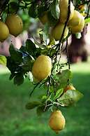 Petit Hotel Es Figueral