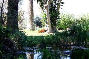 Petit Hotel Es Figueral