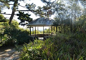 Hostel Punta Ballena Bar