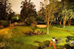 Hostel Punta Ballena Bar