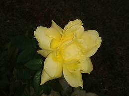 Nueva Alborada Lodging House