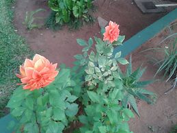 Nueva Alborada Lodging House