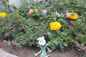 Hualien Tour B&B
