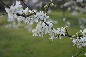Orchard Lodge & Wolds Restaurant