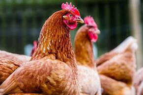 Orchard Lodge & Wolds Restaurant