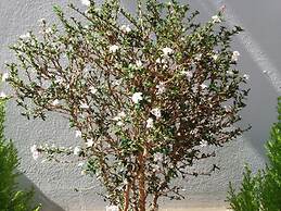 Dowonjeong Healing House