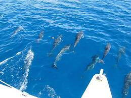 Vacala Bay Resort - All inclusive