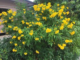 Warakorn Baansuan - Amphawa