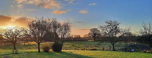 The Moorhead Bed & Breakfast