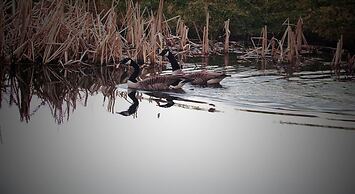 The Moorhead Bed & Breakfast