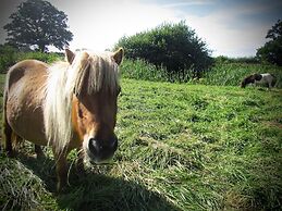 The Moorhead Bed & Breakfast