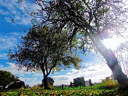 The Moorhead Bed & Breakfast