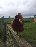 The Moorhead Bed & Breakfast