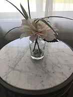 Gallagher's Travels Bar Harbor Motel & Cabins