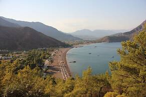 Ford Hotel - Special Class