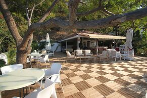 Ford Hotel - Special Class