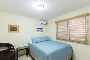 New Kingston Guest Apartment IV