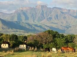 Ardmore Guest Farm