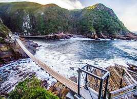 Moon Shine on Whiskey Creek