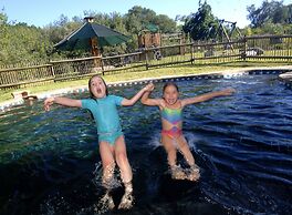 Moon Shine on Whiskey Creek