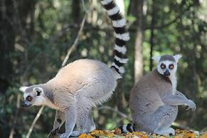 Moon Shine on Whiskey Creek