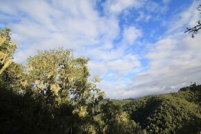 Moon Shine on Whiskey Creek