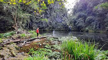 Moon Shine on Whiskey Creek