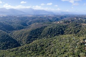 Moon Shine on Whiskey Creek