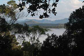 Moon Shine on Whiskey Creek