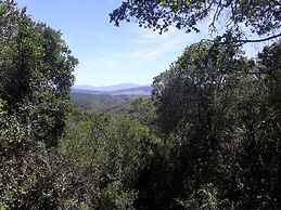 Moon Shine on Whiskey Creek