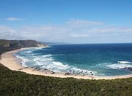 Moon Shine on Whiskey Creek