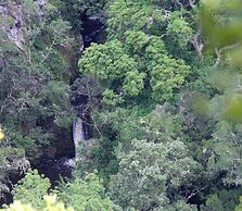 Moon Shine on Whiskey Creek