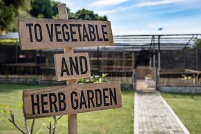 Kokomo Resort Gili Gede