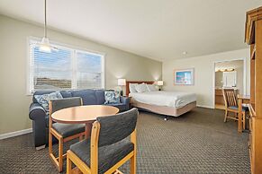 Sea Gull By Kees Vacations